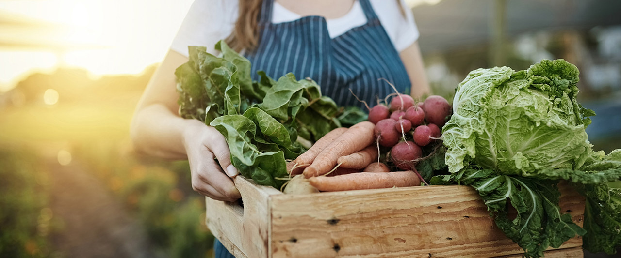 Woman farmer holding basket of fresh and organic vegetables