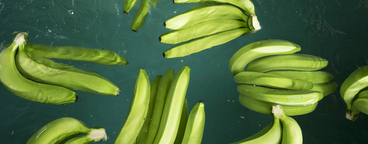 bananas floating in water