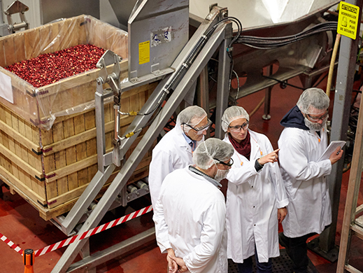 group of people controlling quality in a cranberry factory