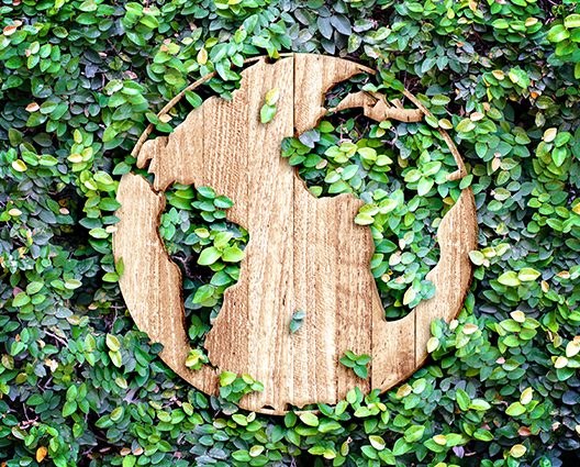 A wooden world map in leaves