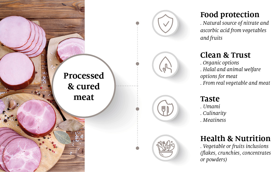 Holistic benefits SAVORY Processed and Cured meat