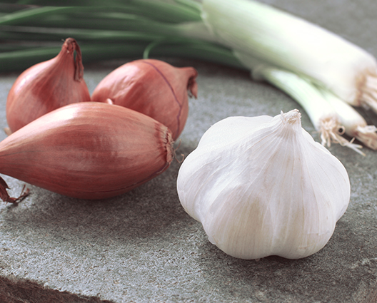 Raw leek garlic and shallot ingredients on table