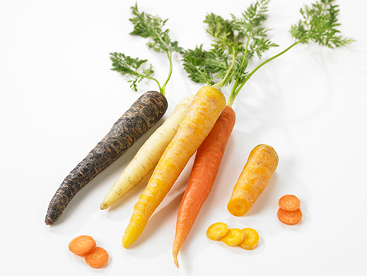 Yellow, orange and purple carrots on white background