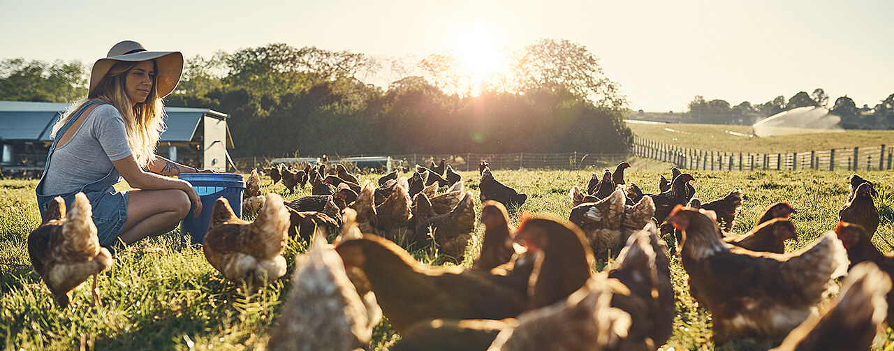 young farmer feeding her chickens while sitting in a field