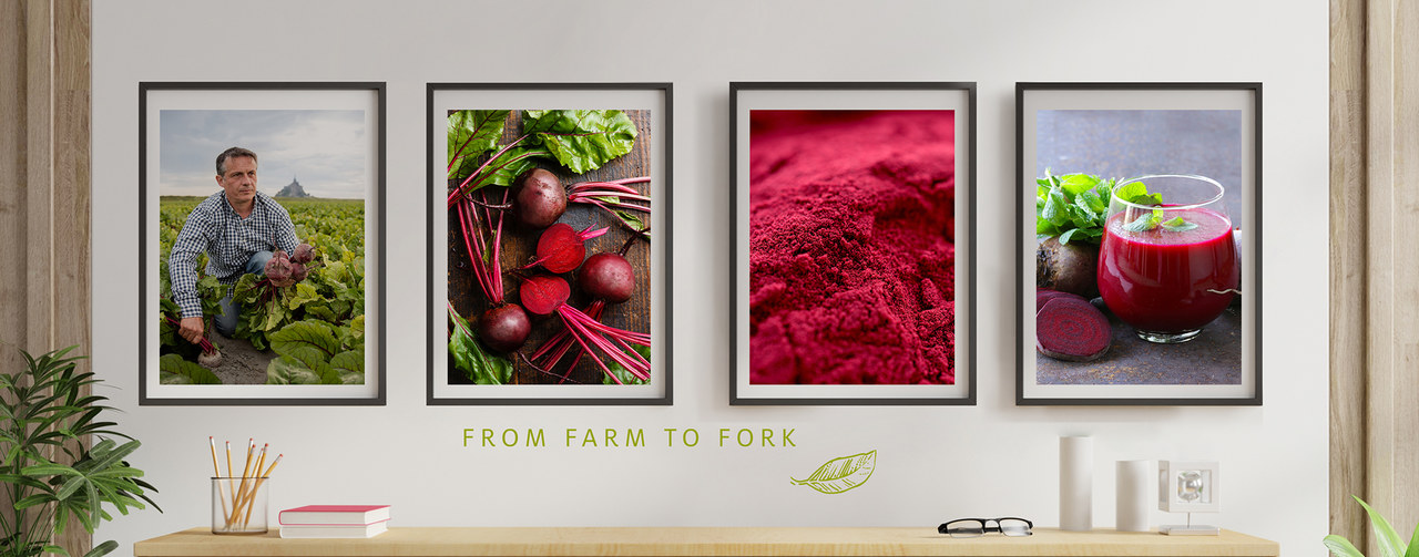 4 photo frames showing the value chain around beetroot