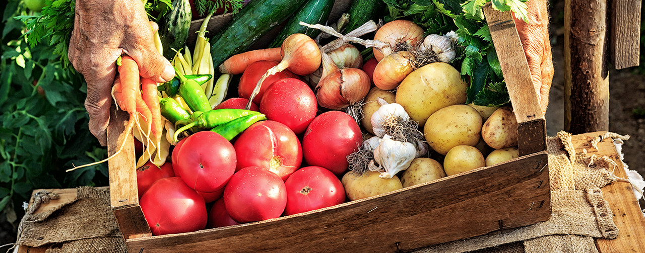 Farmer holding crate with fresh vegetables