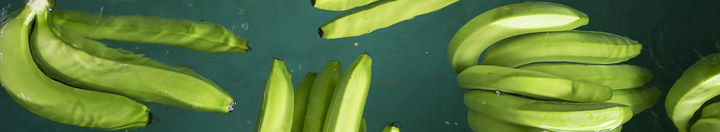 bananas floating in water