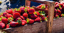 basket full of fresh strawberries