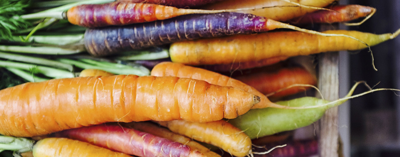 wooden crate with freshly picked purple, orange and yellow carrots