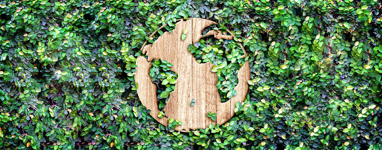 Wooden worldmap in leaves