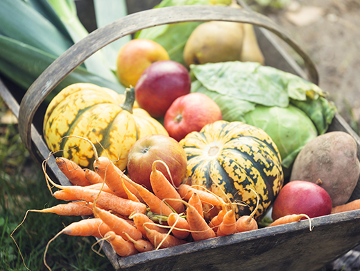 Wooden basket full of fresh vegetables