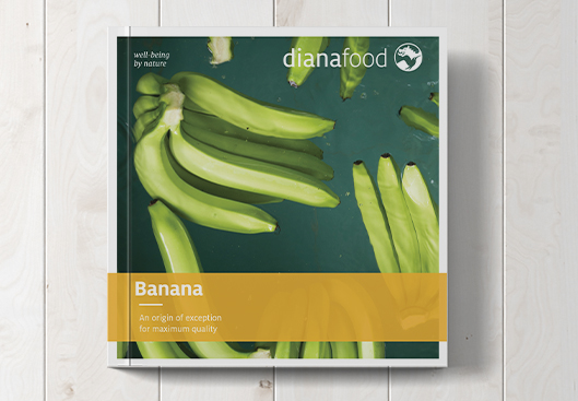 Top view of banana brochure on wooden table