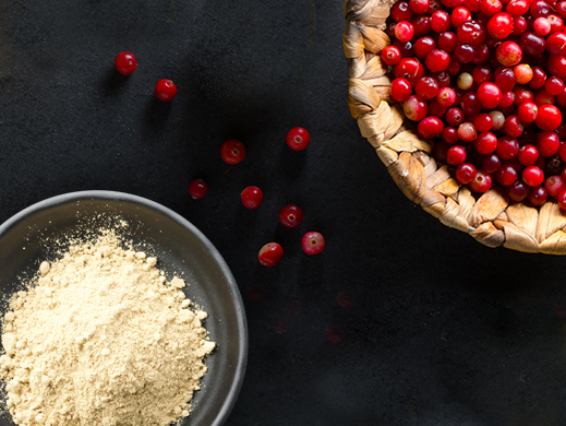 Cranberry ingredients powder