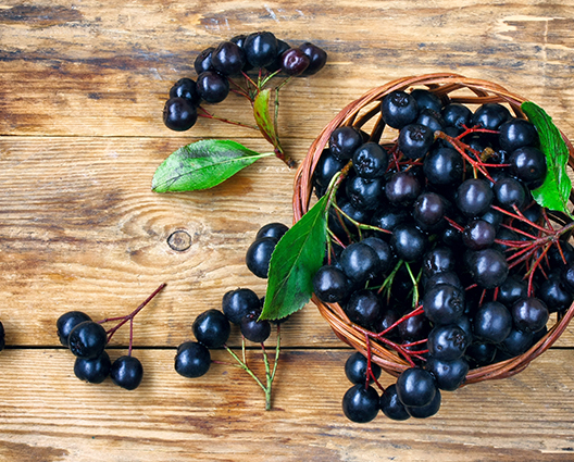 Aronia on wooden table