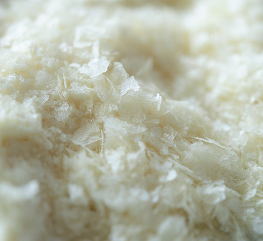 macro shot of aquafaba flakes