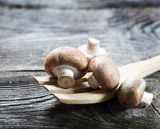 Fresh mushrooms ingredients on wooden table