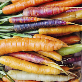 wooden crate with freshly picked purple, orange and yellow carrots