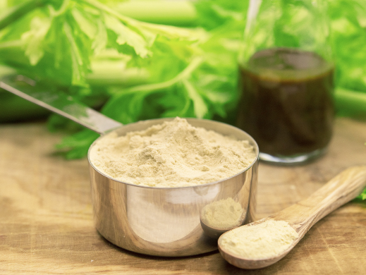 Celery ingredients powder and concentrate for tasty food