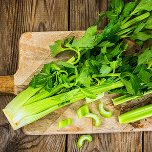 Bunch of fresh celery stalk with leaves