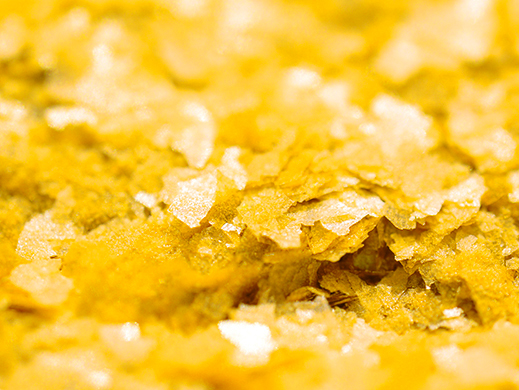 Pumpkin flakes in macro photography