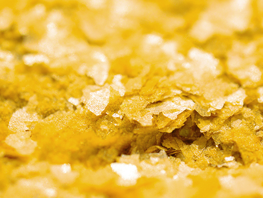 sweet corn flakes macro photography