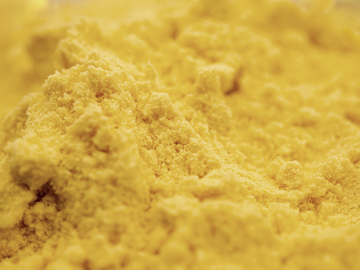 sweet corn powder macro photography