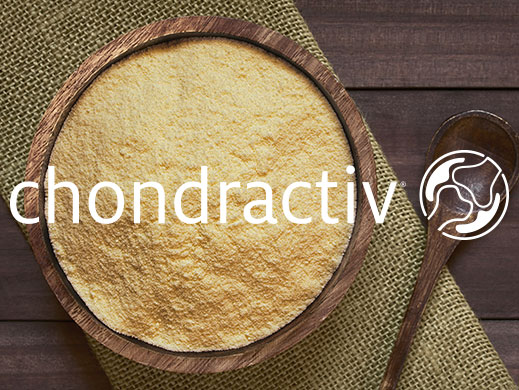 Top view of Chondractiv powder in wooden bowl 
