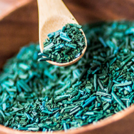 Spirulina bowl and spoon