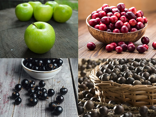 polyphenols patchwork from apple, grapes and berries