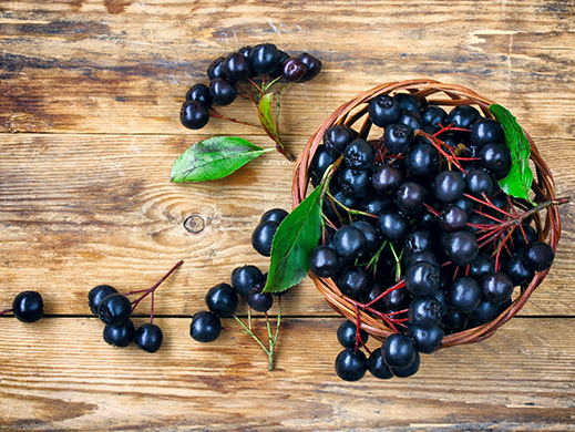 Wicker basket with aronia